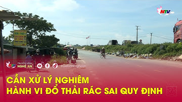 Cần xử lý nghiêm hành vi đổ thải rác sai quy định