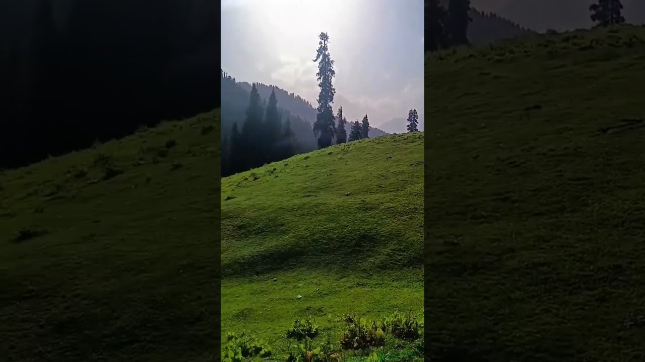 Gushai Meadows - Swat valley