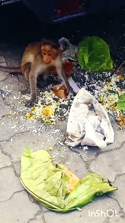 https://youtu.be/5ehKbQxT_bE?si=RWXNtjf5WAff36VN