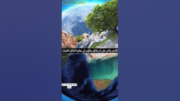«قَالَ مَنْ يُحْيِي الْعِظَامَ وَهِيَ رَمِيمٌ» الآية 78 من سورة يس