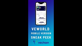 VeWorld Sneak Peek - Vechain's New Upcoming Web Wallet screenshot 2