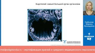 Атеросклероз: диагностика и лечение