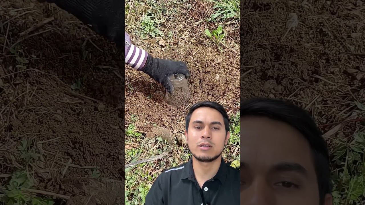 hernus ta dhal yasare rakhen xa korea ma#trending#skills #nepal #food #agriculture #menu