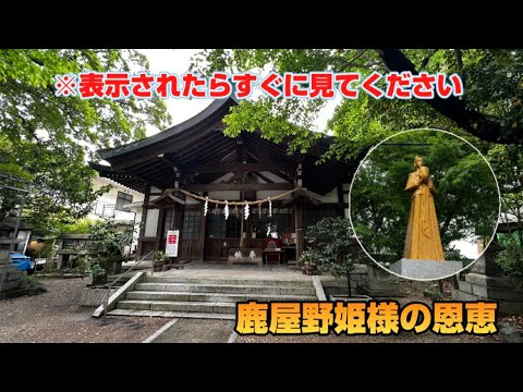 【必見】病気平癒に縁結び！鹿屋野姫様の御利益が凄い✨【萱津神社遠隔参拝】