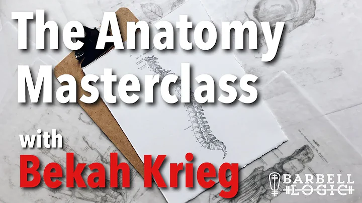 #330 - The Anatomy Masterclass with Bekah Krieg