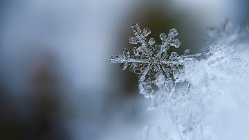 BCB Advent Calendar 2020 - Day 11 - Ding Dong Merrily on High