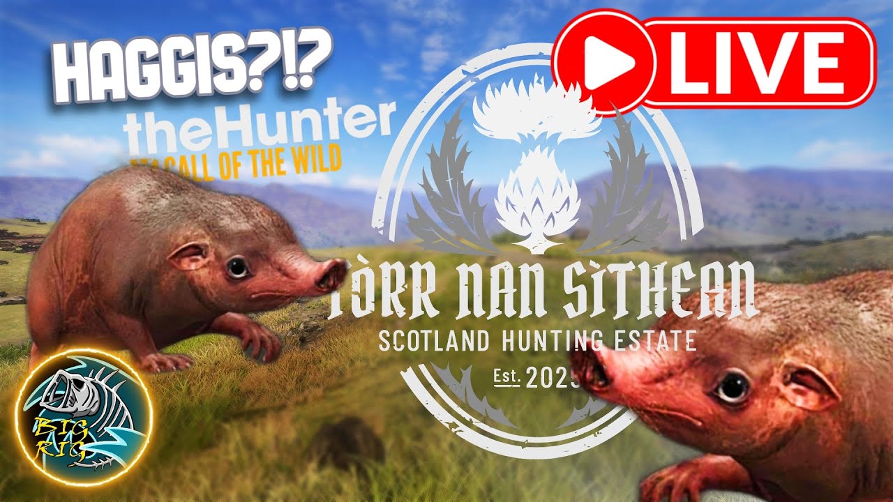 NEW YEARS EVE Cryptid Hunting! DAY 10! Looking for the LEGENDARY Haggis! TheHunter: Call of the Wild
