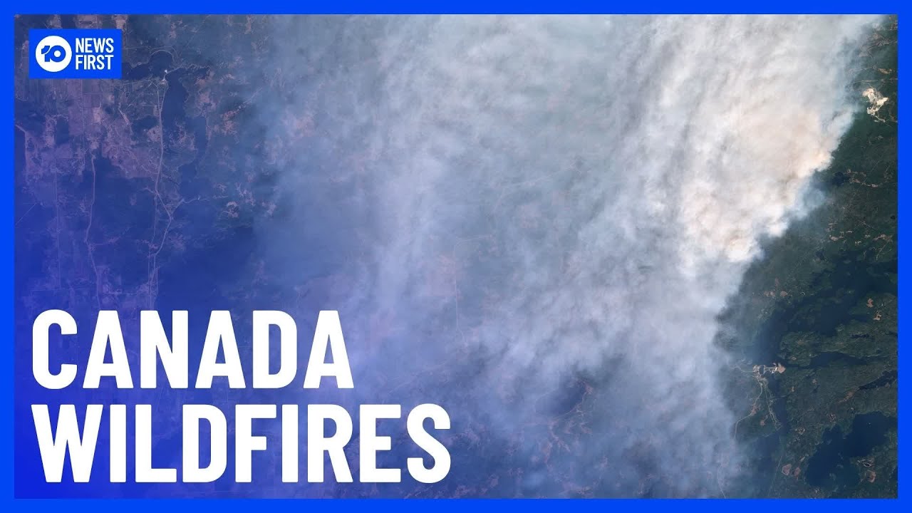 Canada Wildfires: Thousands Forced To Evacuate Manitoba | 10 News First ...