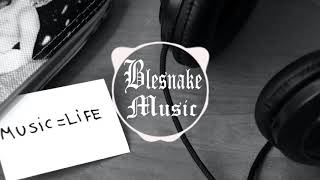 Starix & Twin & Valerie Baltaeva - My Life Is Going On (🔈BASS BOOSTED🔈)