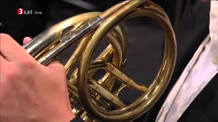 Williams's Star Wars Leia's Theme, Horn Solo