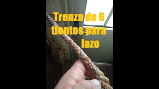 Trenza de 6 tientos para lazo, 