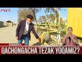 Qachongacha tezak yoqamiz?