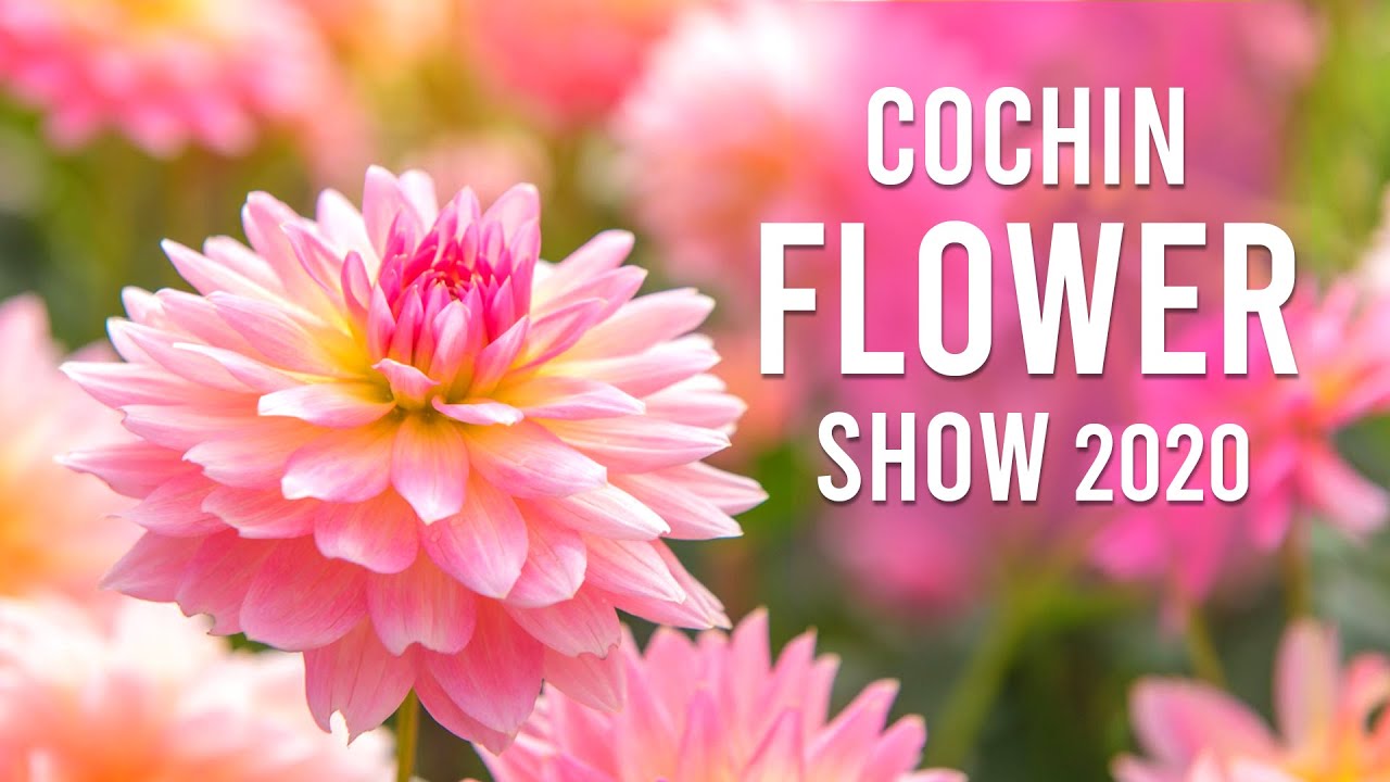 Cochin flower show 2020 YouTube