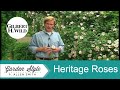 Growing Heritage Roses | Garden Style (206)