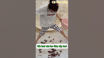 De uitdaging van mijn onwetende beste vriend om rivierkreeften te kweken en het einde #shorts