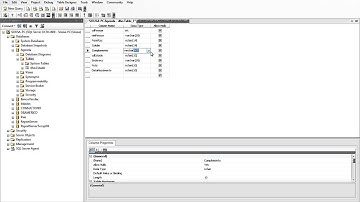 Aula 1 Criando o Banco e  Tela Principal