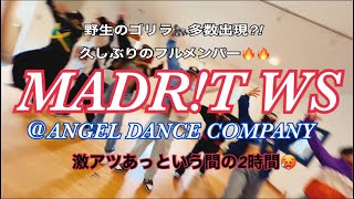 MADR!T WS @ANGEL DANCE COMPANY ダイジェスト❤️🔥