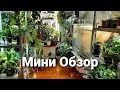 Мини Обзор