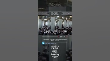 #قران_كريم #المصحف #القرآن_الكريم #تلاوة_خاشعة #اكسبلور #تلاوة_هادئة