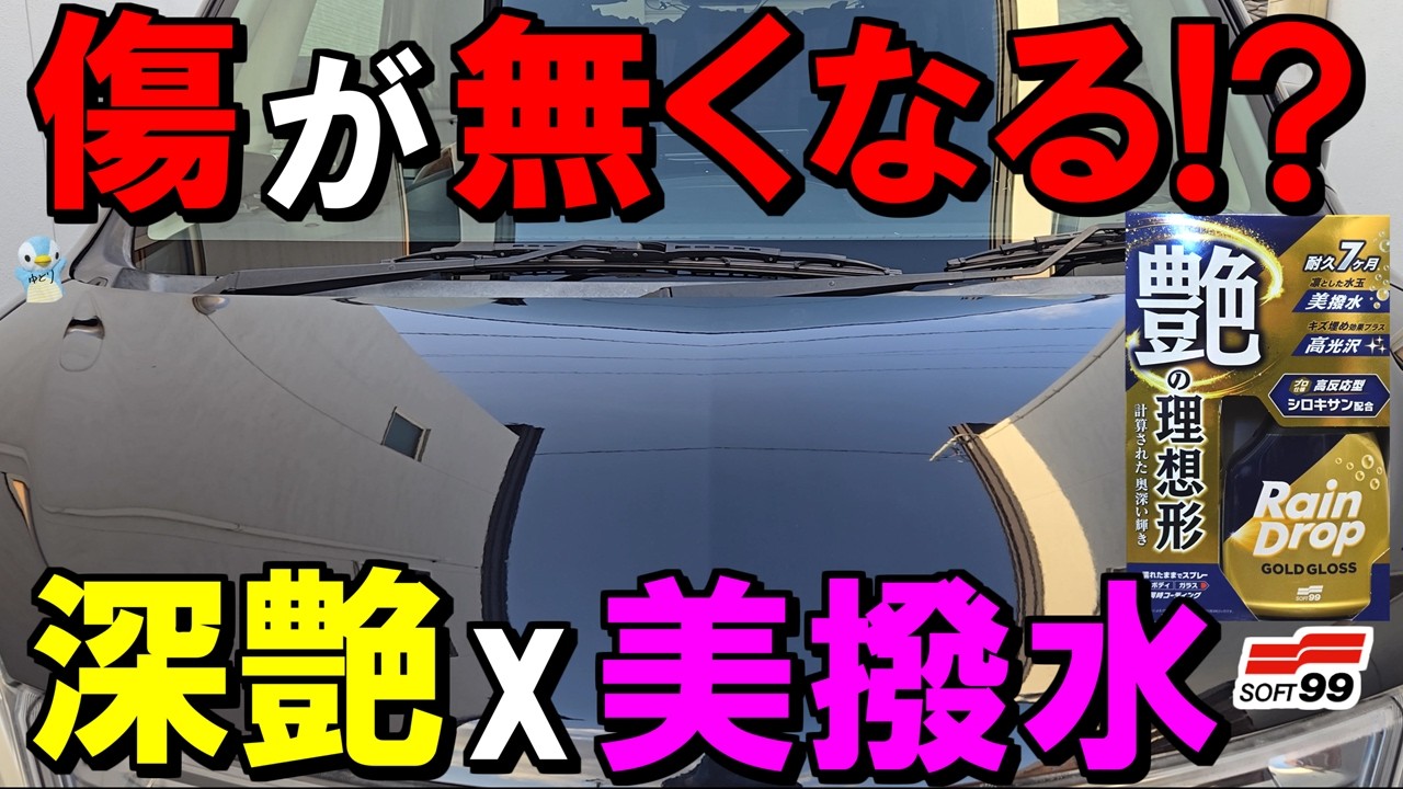 【傷埋め光沢x美撥水】ソフト99「レインドロップゴールドグロス」がすごかった!【2026新作コーティング】