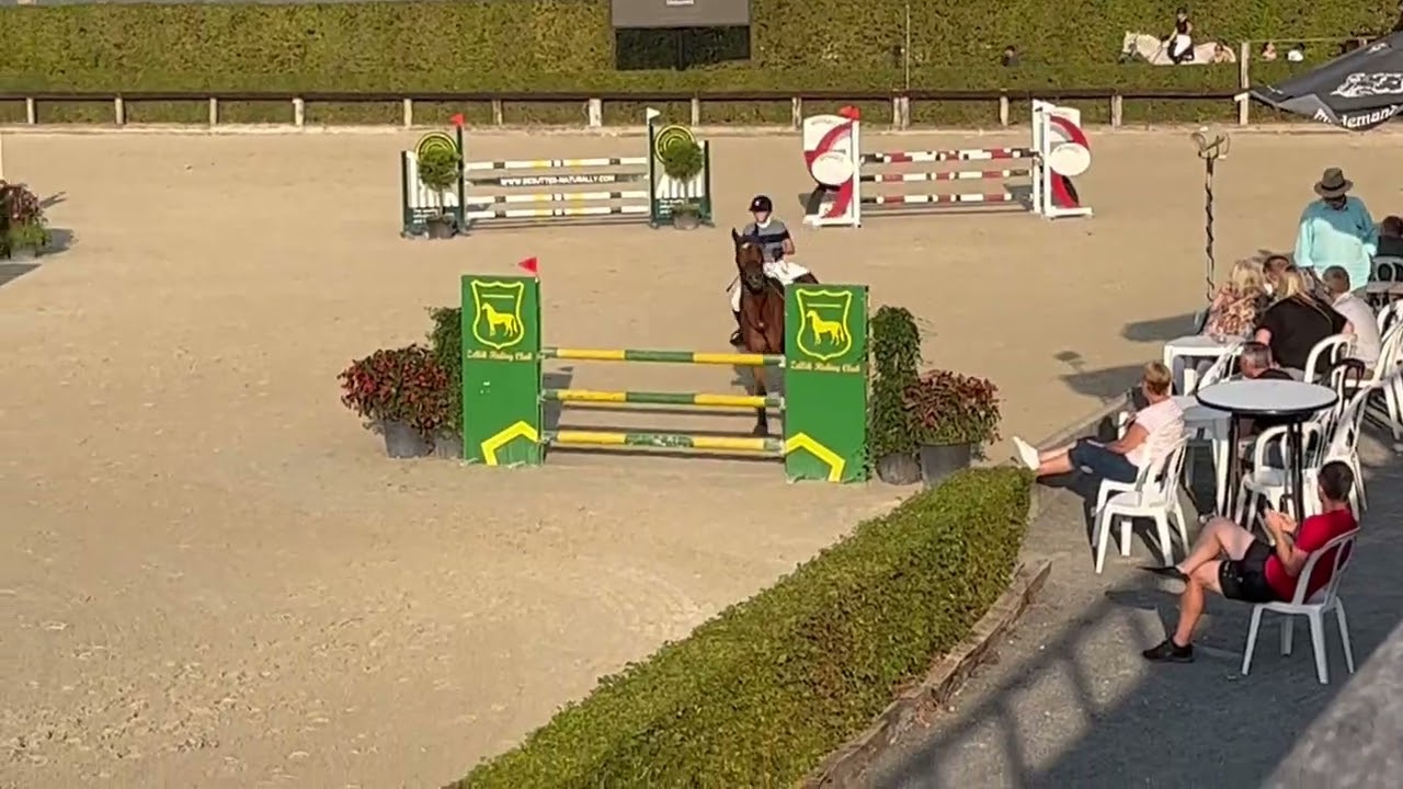 Cassander DDA VDH 15.08.2022 1m15