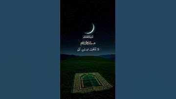 محمد اللحيدان - تلاوة خاشعة من سورة الأحقاف ❤️✨ #قرآن_كريم #راحة_للقلب 🫂