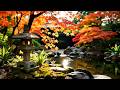 Golden Hour Zen Garden ⛩️ Lofi Beats for Inner Peace, Focus and Relaxation