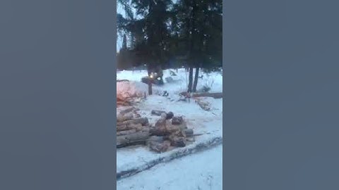 Snowmobile vs tree