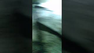 14 de junho de 2024 - YouTube