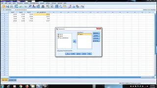 SPSS BASIC PART 4 HORIZONTAL AND VERTICAL MEAN