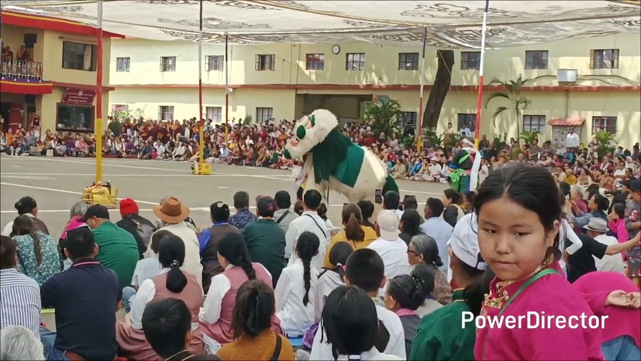 4 March 2026#Tibetan today Chyinyachopa in Namgyal Monstery Bylakuppe Mysore Karnataka South India 