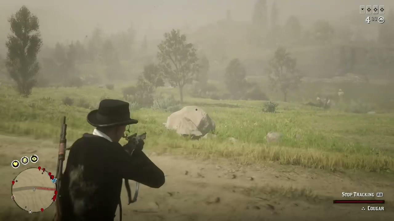 Easy perfect cougar pelt 