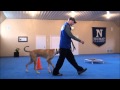 Sebastian (Great Dane) Dog Training Boot Camp Video Sebastian (Great Dane) Dog Training Boot Camp Video