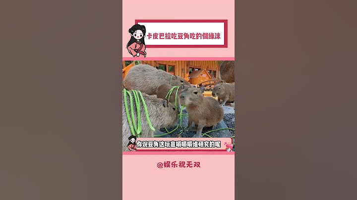 吃的卡皮巴拉已经开始躲着豆橛子走了 #河南 #动物园  #豆角 #卡皮巴拉 #搞笑#shorts