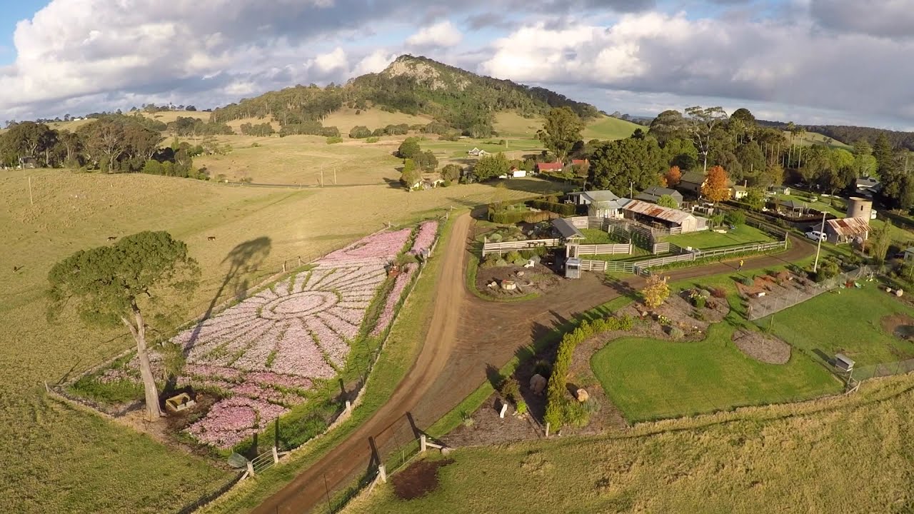 Mountain View Farm, Tilba Tilba