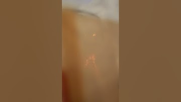 صلاة الخسوف من جامع الملك عبدالعزيز بمكة العدل الشيخ أحمد البيطار تلاوة خاشعة و مؤثرة#اكسبلور 