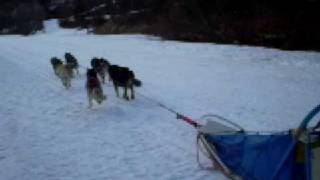 chien20081215 01 01