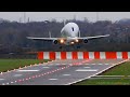 Airbus BELUGA Fantastic CROSSWIND Landing + A300-600ST Beluga Plane Spotting at Hawarden Airport!