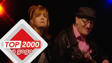 The Shirts - Tell Me Your Plans | The Story Behind The Song | Top 2000 a gogo