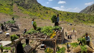 IRAN nomadiclife | How Do Nomads Build Canopies? Building a Wooden Summer Canopies in Nomadic Life 🌄