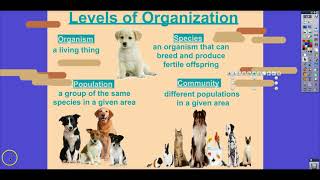 Unit 3 Pt 1 Ecosystems AP Environmental 2017