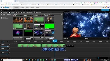 Green Screen, WeVideo and the Tech Ninja!