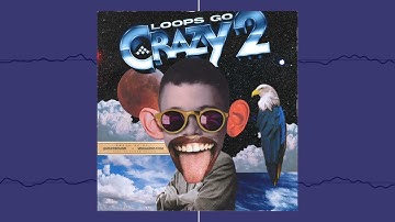 Loops Go Crazy Vol .2   Insane Sample Pack!