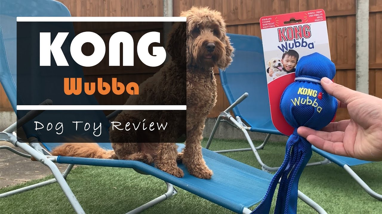 Kong Wubba Dog Toy Review You