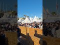 Sundowners Cannes