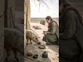 💵 Poor Girl Gets a Pig as Inheritance — Turns It Into a Fortune! 😲🐖