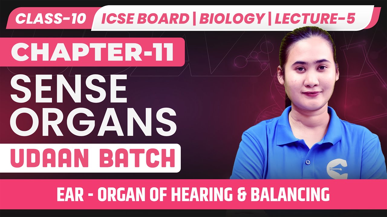 ICSE Class 10 Biology | Sense Organs – Ear: Organ of Hearing ...