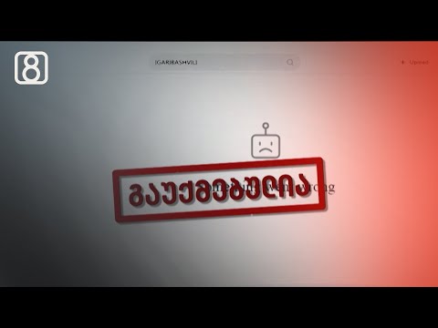 „ოცნების“ ტროლების ქარხანა დონორების ფულით