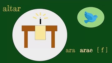 Introduction to Agora Academy