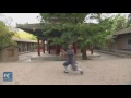 Shaolin monk plays monkey stick